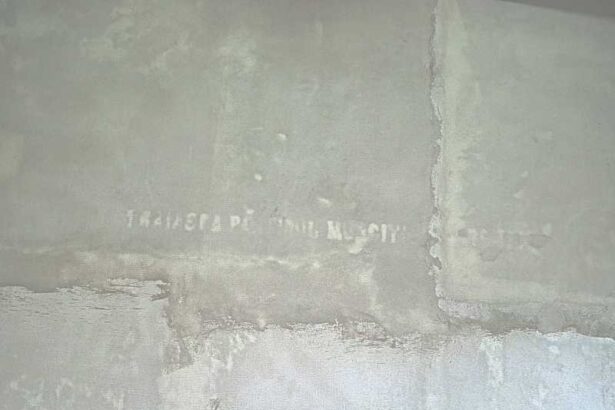 salaj o inscriptie de la colectivizare a aparut printr un strat de tencuiala la fosta scoala construita de maniu la badacin 6925a1294d572