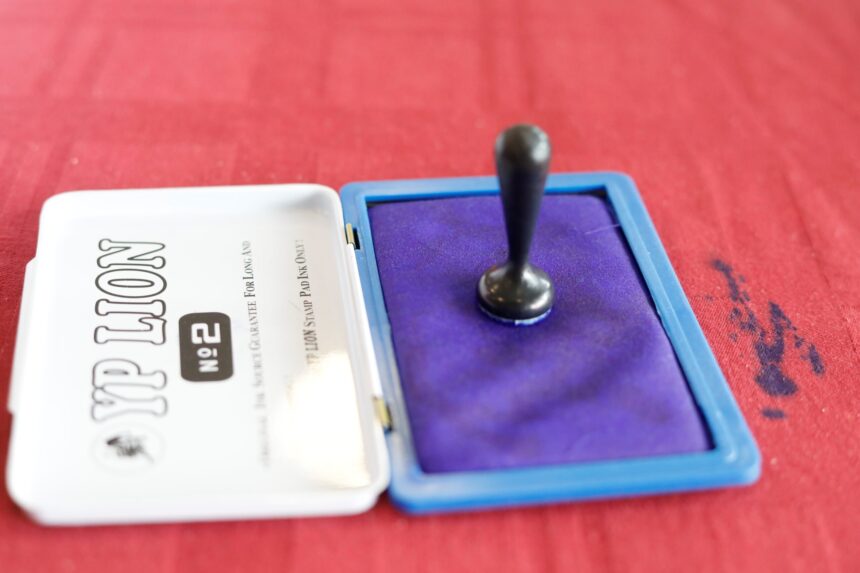 sase candidati pentru primaria capitalei validati de biroul electoral municipal 6918ddbfa2fce