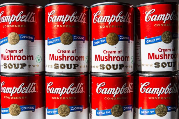 soup firm campbells dismisses executive over alleged poor people comments 69286416b5f0a