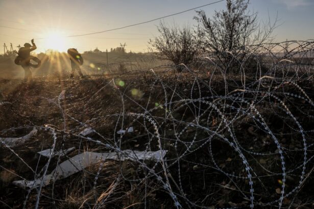 south africa launches investigation into 17 citizens fighting in ukraine 690cec247d767