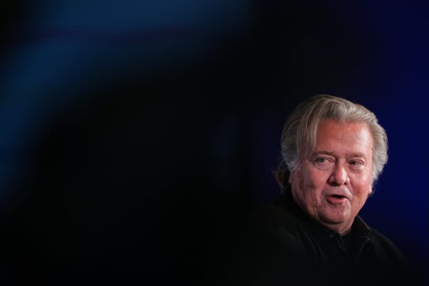 steve bannon advised jeffrey epstein for years on how to rehab his reputation texts show 69185e76d2c55