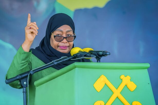 tanzanias hassan declared landslide winner in election that triggered violent protests 6905b0928761c