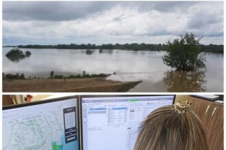 timis exercitiu de simulare si verificare al aba banat in caz de inundatii pe cursul raului barzava 690c8edbcc880