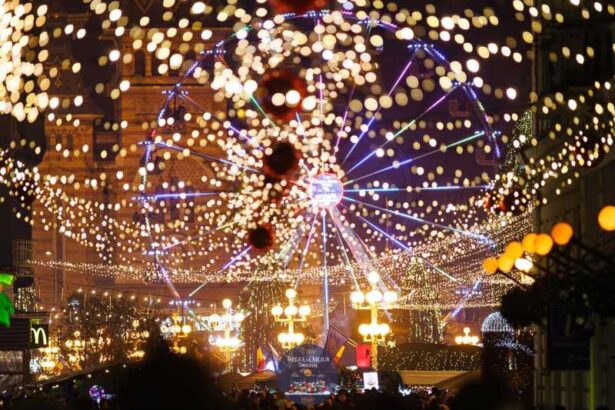 timis pregatiri pentru targul de craciun noutatea acestui an va fi bradul carusel 691192bb5d541