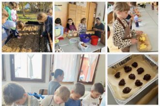 timis proiect educativ pentru ca 1 000 de elevi sa aleaga legumele si fructele sanatoase in defavoarea fast food 692073ccb64af