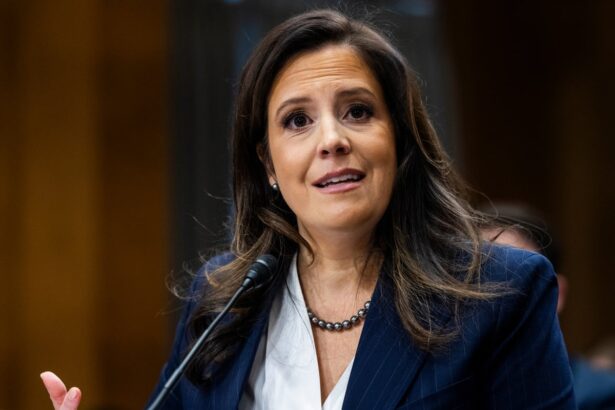 trump loyalist elise stefanik announces run for new york governor 690e1c5a90c34