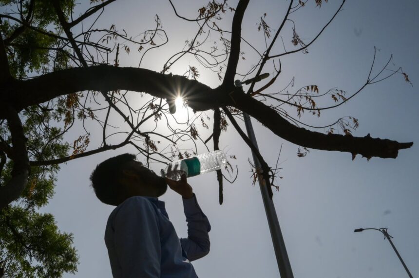 trumps anti climate agenda could result in 1 3m more deaths globally analysis finds 691dce9fc96d8