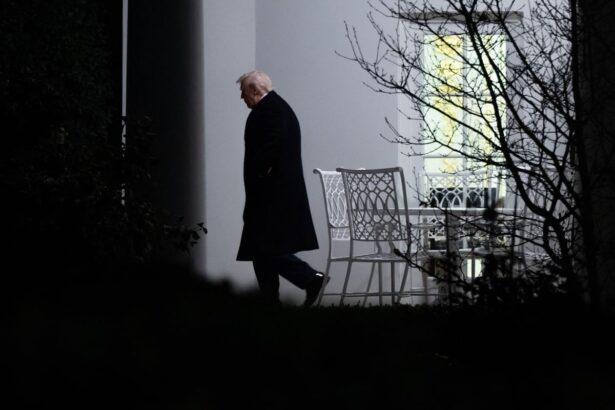 trumps investigation into epstein ties to political foes might be smokescreen republican says 691a57ac10e8d