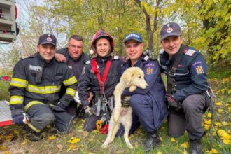tulcea catelusa salvata de pompieri dintr o fantana adanca de 15 metri 6908ca5ee5b6f