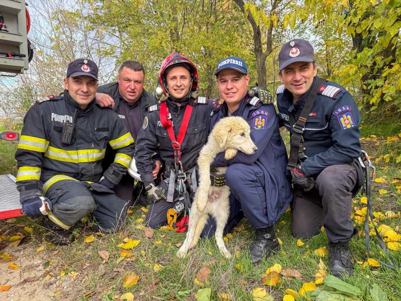 tulcea catelusa salvata de pompieri dintr o fantana adanca de 15 metri 6908ca5ee5b6f