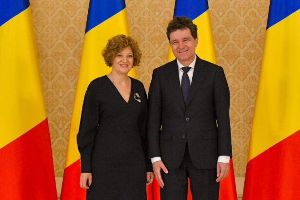 vicepremierul oana gheorghiu despre nicusor dan ii lipseste viteza 690f432992d77