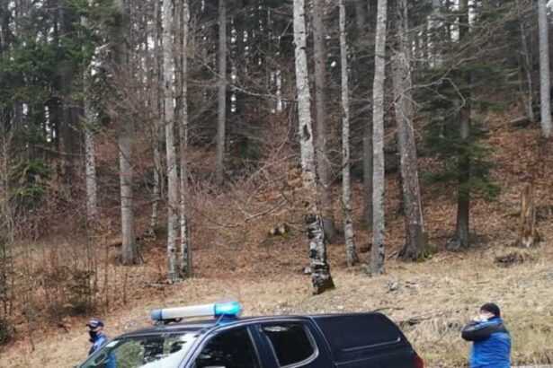 video brasov grup de 4 turisti cu un bebelus rataciti pe un drum izolat de munte au fost salvati de jandarmi 6921dde28a6ce