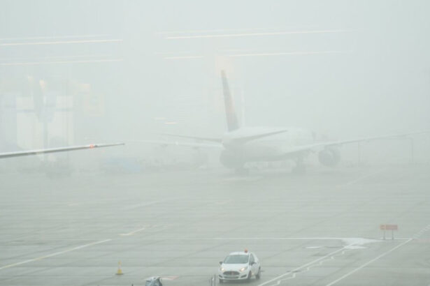 video ceata blocheaza aeroportul din craiova mai multe curse au fost anulate 69183fc72188e