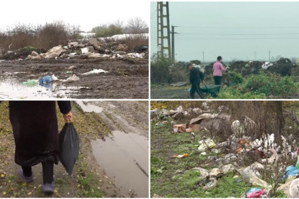 video imagini revoltatoare campuri sufocate de gunoaie intr o comuna din olt localnicii si primarul se invinovatesc reciproc 6922957103564
