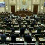 video moment de reculegere in senatul romaniei pentru victimele femicidului politia nu a reactionat crima nu a fost prevenita 6912ce54c6438