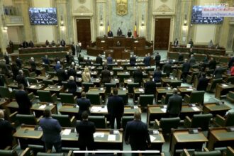 video moment de reculegere in senatul romaniei pentru victimele femicidului politia nu a reactionat crima nu a fost prevenita 6912ce54c6438