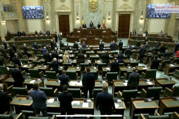 video moment de reculegere in senatul romaniei pentru victimele femicidului politia nu a reactionat crima nu a fost prevenita 6912ce54c6438