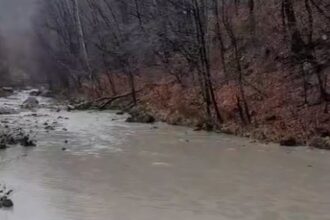 video prahova situatie critica la acumularea paltinu apele romane recomanda declararea unei situatii de urgenta 692b4bfd03fcb