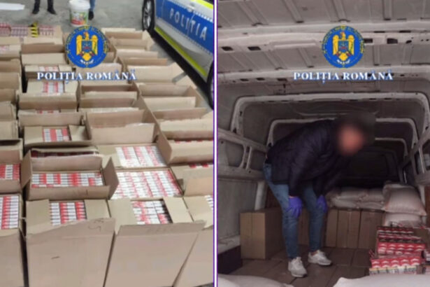 video tigari de contrabanda de peste jumatate de milion de lei descoperite in masina unui tanar doljean ce sustinea ca transporta 690f13fa9a8d9