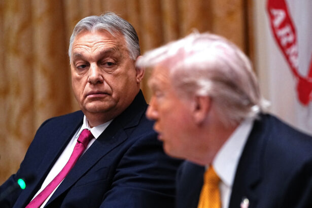 viktor orban i a prezentat lui donald trump argumentele in favoarea utilizarii petrolului rusesc 690e5673234a4