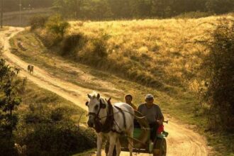 5 decembrie ziua mondiala a solului onu 693275f337b6d