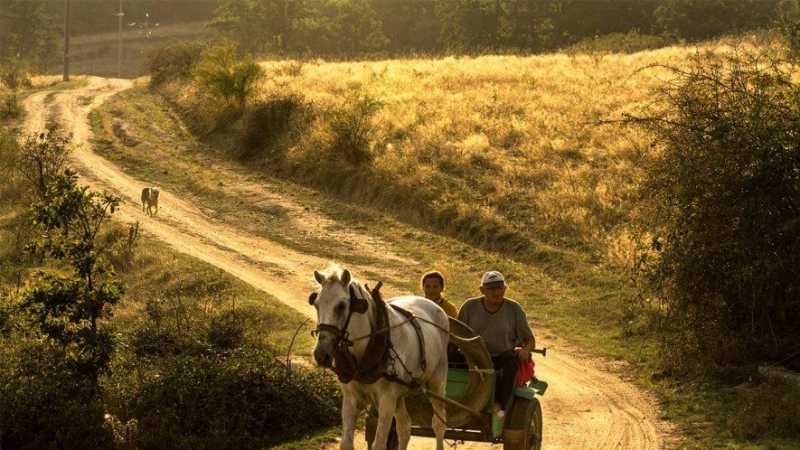 5 decembrie ziua mondiala a solului onu 693275f337b6d