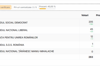 alegeri locale partiale candidatul psd are aroape 78 dintre voturile exprimate in localitatea sopot judetul dolj dupa centralizarea a 40 dintre procesele verbale 6935db93783f4