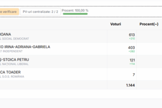 alegeri locale partiale candidatul psd ioana rus a castigat alegerile in comuna sieu din maramures 6935ef7b34137