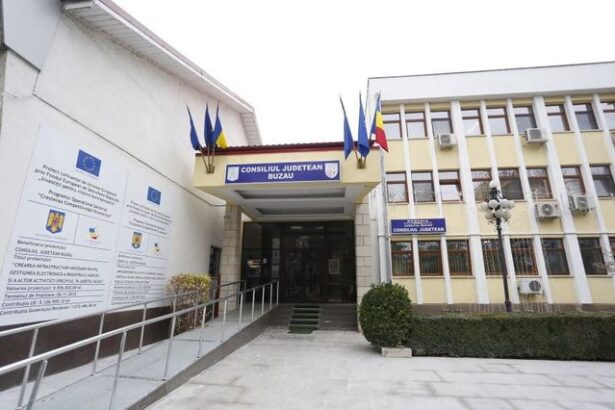 alegeri locale partiale opt candidati isi disputa duminica sefia consiliului judetean buzau 6934fcde411e3