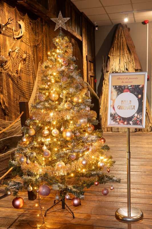 arad pomii de craciun dintr o expozitie a complexului muzeal donati unor familii nevoiase 693ff6daf1c77