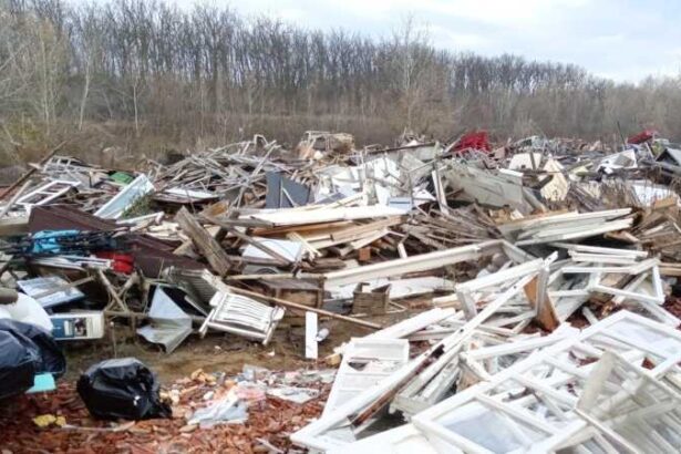 arad un hectar de teren de langa raul mures poluat cu deseuri o familie a fost amendata cu 40 000 lei 69398e6292d6f