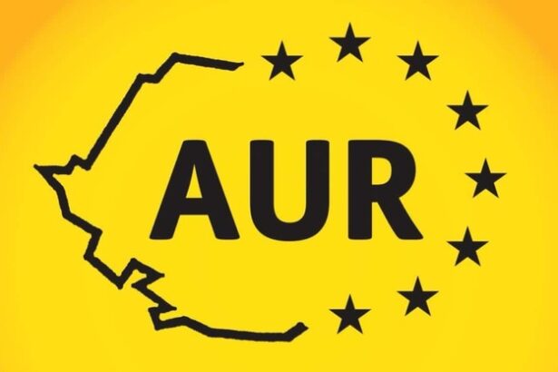 aur a atacat la curtea constitutionala hotararea parlamentului cu privire la desemnarea membrilor consiliilor de administratie ale televiziunii romane si radioului public 69496b33def3c