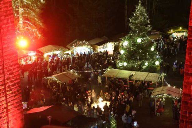 autoritatile germane au dejucat un atentat ce viza un targ de craciun 693e6d3ae8e66