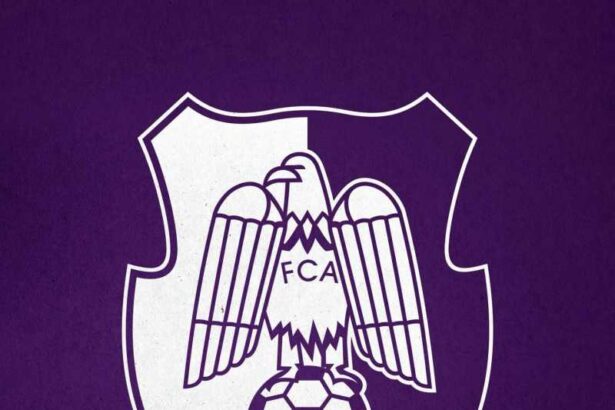 baschet masculin fc arges s a despartit de antrenorul nebojsa vidic 694c1043bdb1c