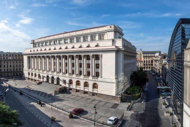 bnr ponderea deficitului contului curent in pib a fost de 82 in 2024 comparativ cu 67 in 2023 69416631dfdf9