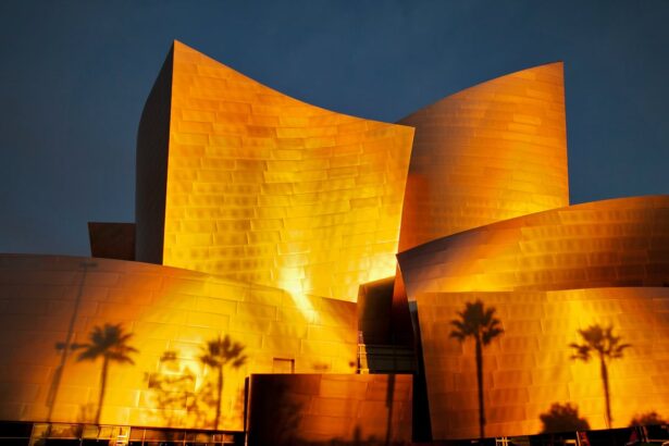 bold shapes and binoculars frank gehrys stunning california architecture 6934902ca5619