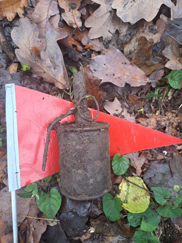 botosani grenada de mana descoperita intr o padure cu detectorul de metale 692dc0120344a