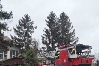 botosani un copac rupt de vant s a prabusit peste acoperisul spitalului din darabani 6951194e44081