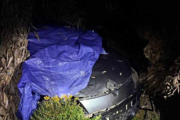 botosani un tanar baut a produs un accident mortal si a incercat sa ascunda masina 69341150923fc