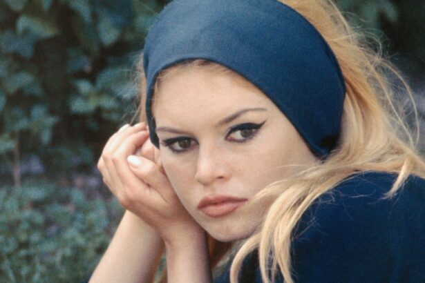 brigitte bardot french screen legend dies aged 91 695129f12113c