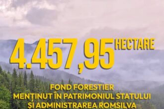 buzau 4 500 de hectare de padure in patrimoniul statului dupa o decizie definitiva s a evitat dubla reconstituire 69313f63b9ce8