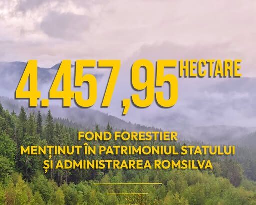 buzau 4 500 de hectare de padure in patrimoniul statului dupa o decizie definitiva s a evitat dubla reconstituire 69313f63b9ce8
