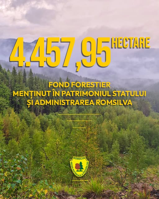 buzau 4 500 de hectare de padure in patrimoniul statului dupa o decizie definitiva s a evitat dubla reconstituire 69313f63b9ce8