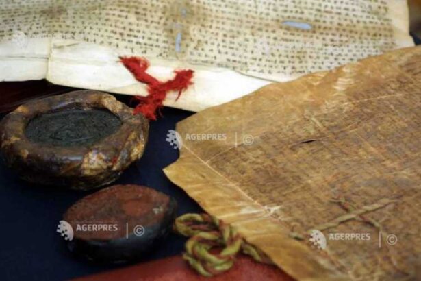 citatul zilei 692d2ee013f2a