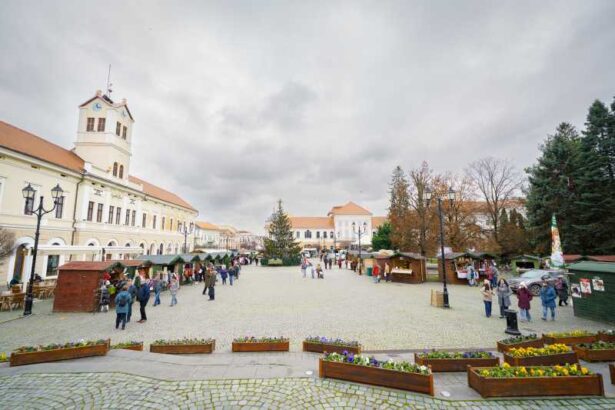 covasna intrarea in noul an va fi marcata de doua ori la sfantu gheorghe cu show laser si concerte 694170784502c