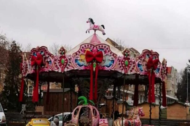 covasna primaria sfantu gheorghe a primit alt carusel decat cel comandat si spune ca e o tentativa de inselaciune 693c25dc0ac27