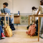 cum pot elevii din romania sa studieze un an de liceu in sua conditii de inscriere si calendarul complet al programului flex 693a5069008b0