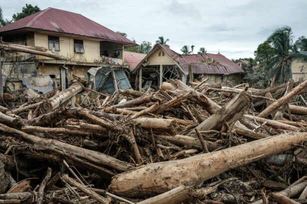 cyclones floods and wildfires among 2025s costliest climate related disasters 694f89f3b7fa9