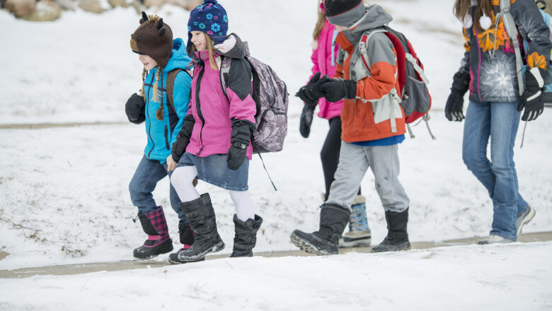 elevii intra in vacanta de craciun 19 zile libere de la cursuri pe ce data se intorc la scoala in 2026 69423aab6c901