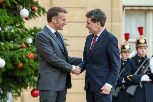 emmanuel macron i a vorbit lui nicusor dan in limba romana 69384df8985f5